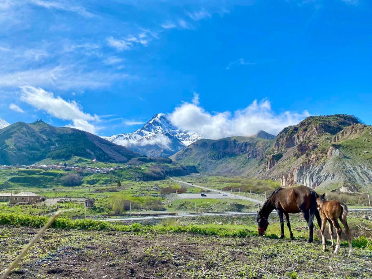 Kazbegi Inn Bagian luar foto