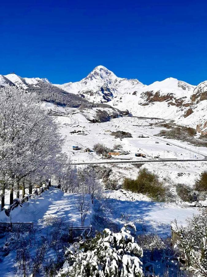 Kazbegi Inn Bagian luar foto
